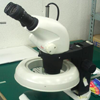 実体顕微鏡