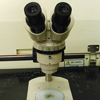 実体顕微鏡